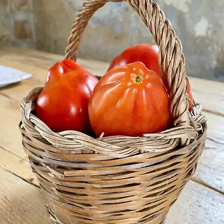 Vento - Eco Dimore Nel Borgo Bed & Breakfast Civita