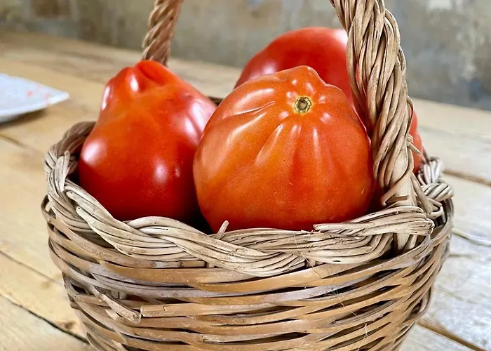 Vento - Eco Dimore Nel Borgo Frühstückspension Civita